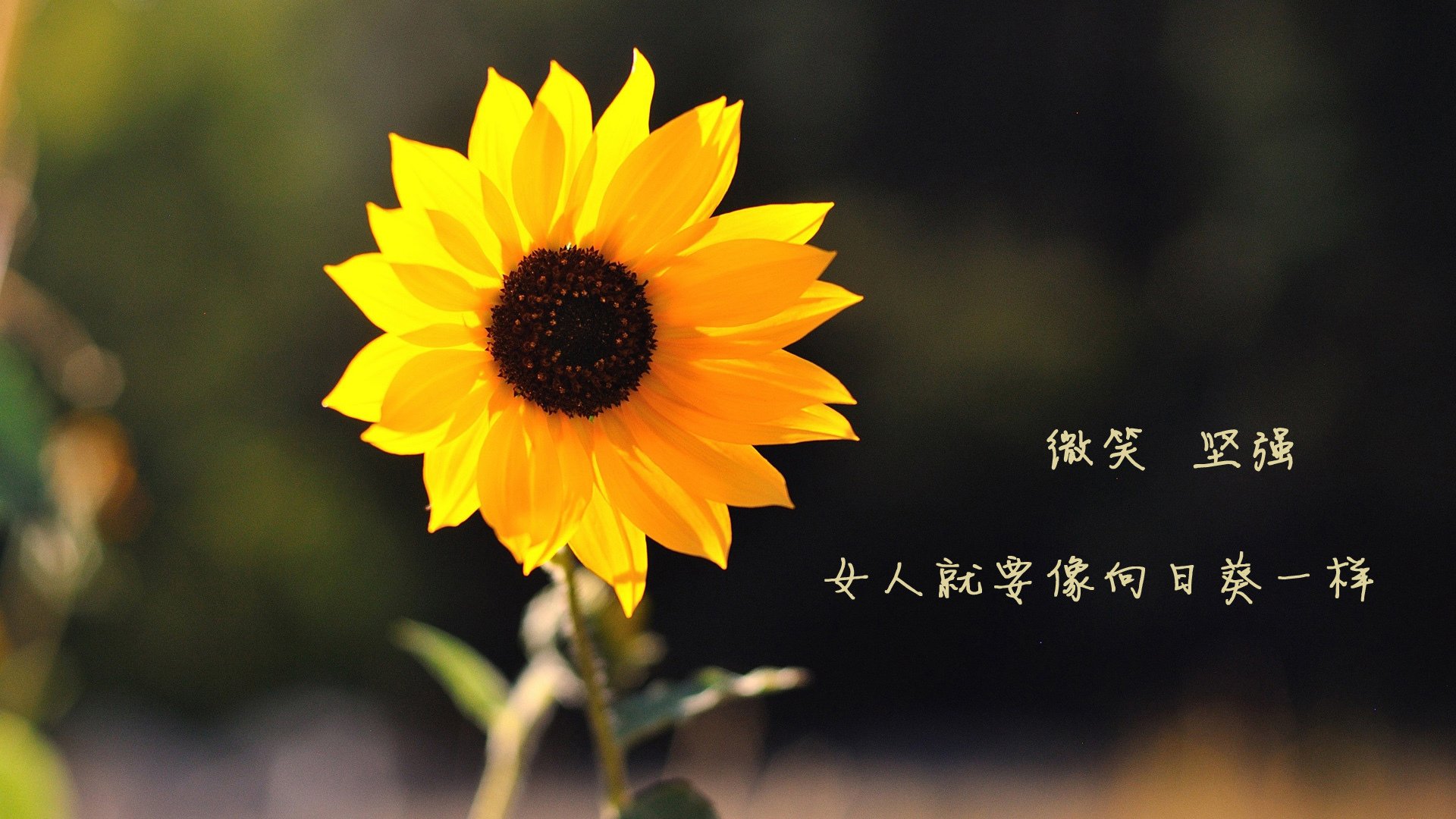 “未来领跑者”青少年青训课程在北京得到广泛认可，推动青训行业发展