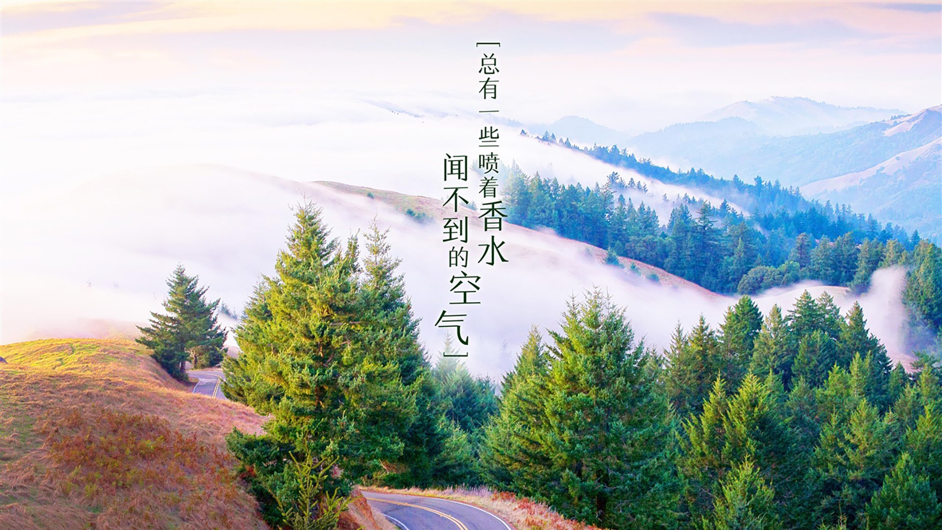 Kaiyun(中国)开云-青少年“青春飞扬”篮球文化体验日在成都热情举行，推广体育文化