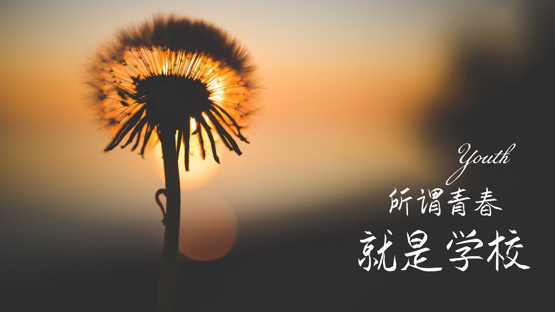 kaiyun.com-韩选手星际争霸伤病恢复通报，星际争霸韩国职业联赛回忆录