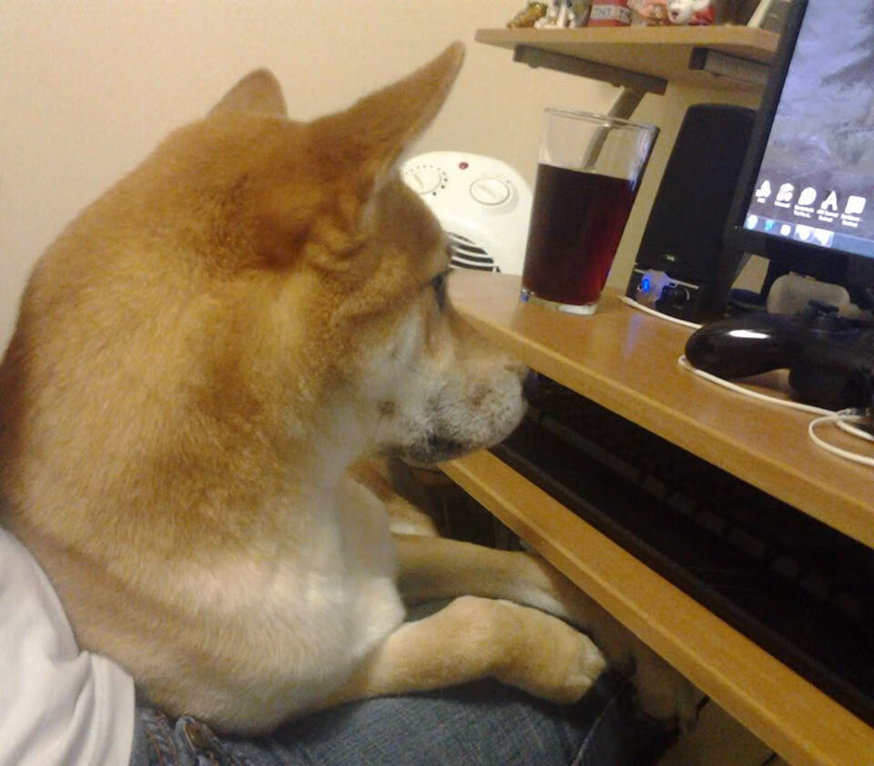 国家队未建立与青训教练定期协调机制,国家队未建立与青训教练定期协调机制的原因