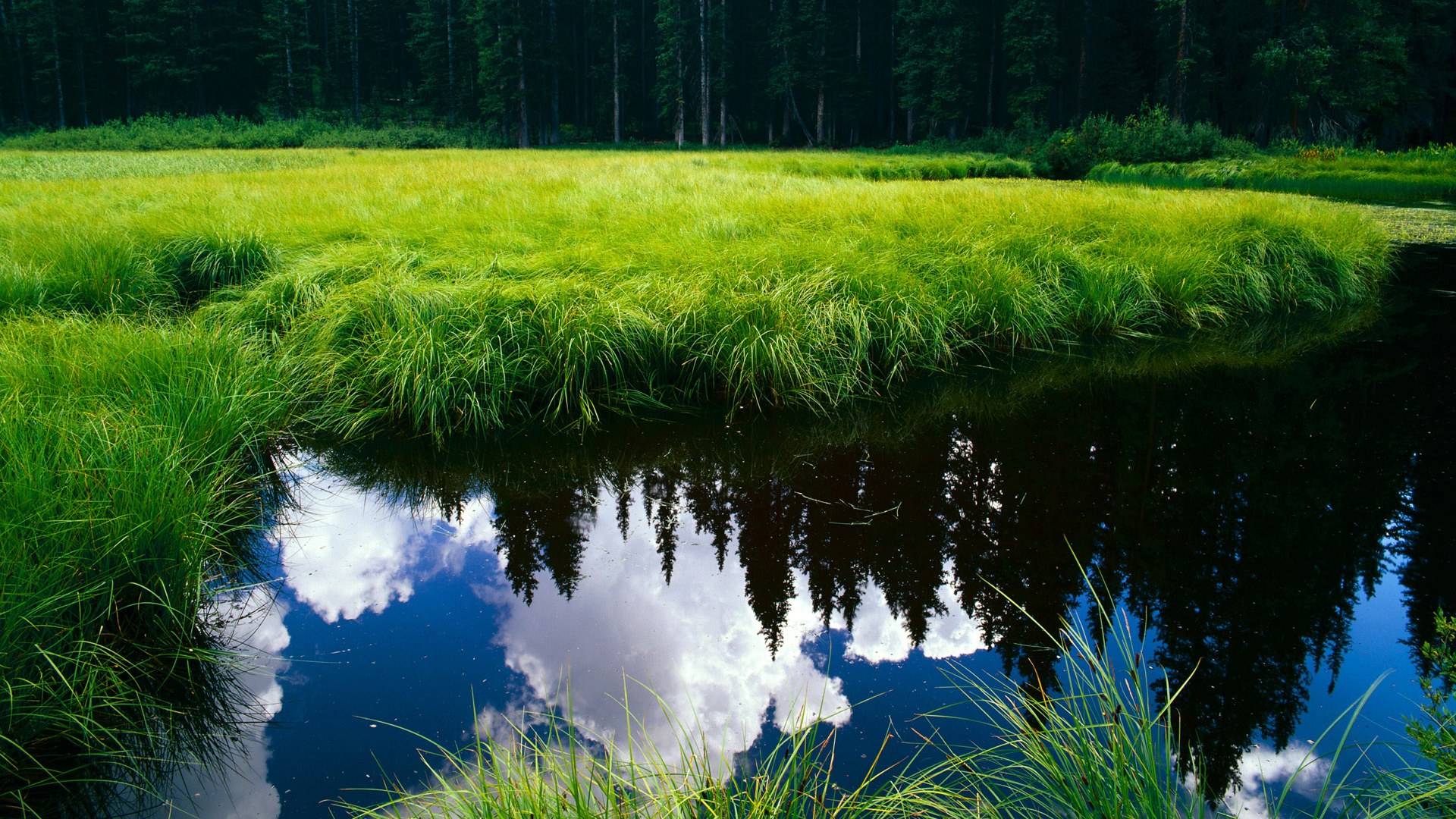 地方足协管理能力参差不齐,地方足协如何运营