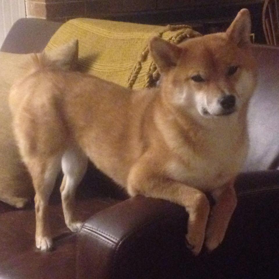 kaiyun体育综合-波兰队未来战略：通过优秀教练的培养和全员训练提升整体实力，波兰队友