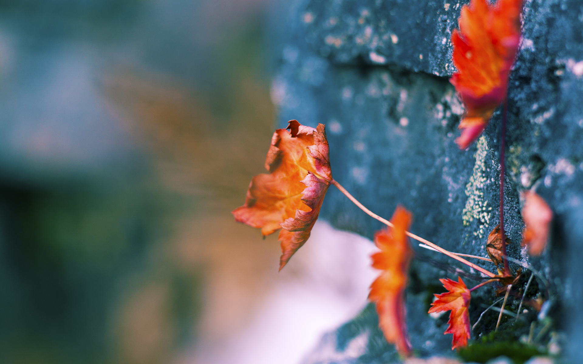 关键罚球命中率提升显著，罚球命中率100%