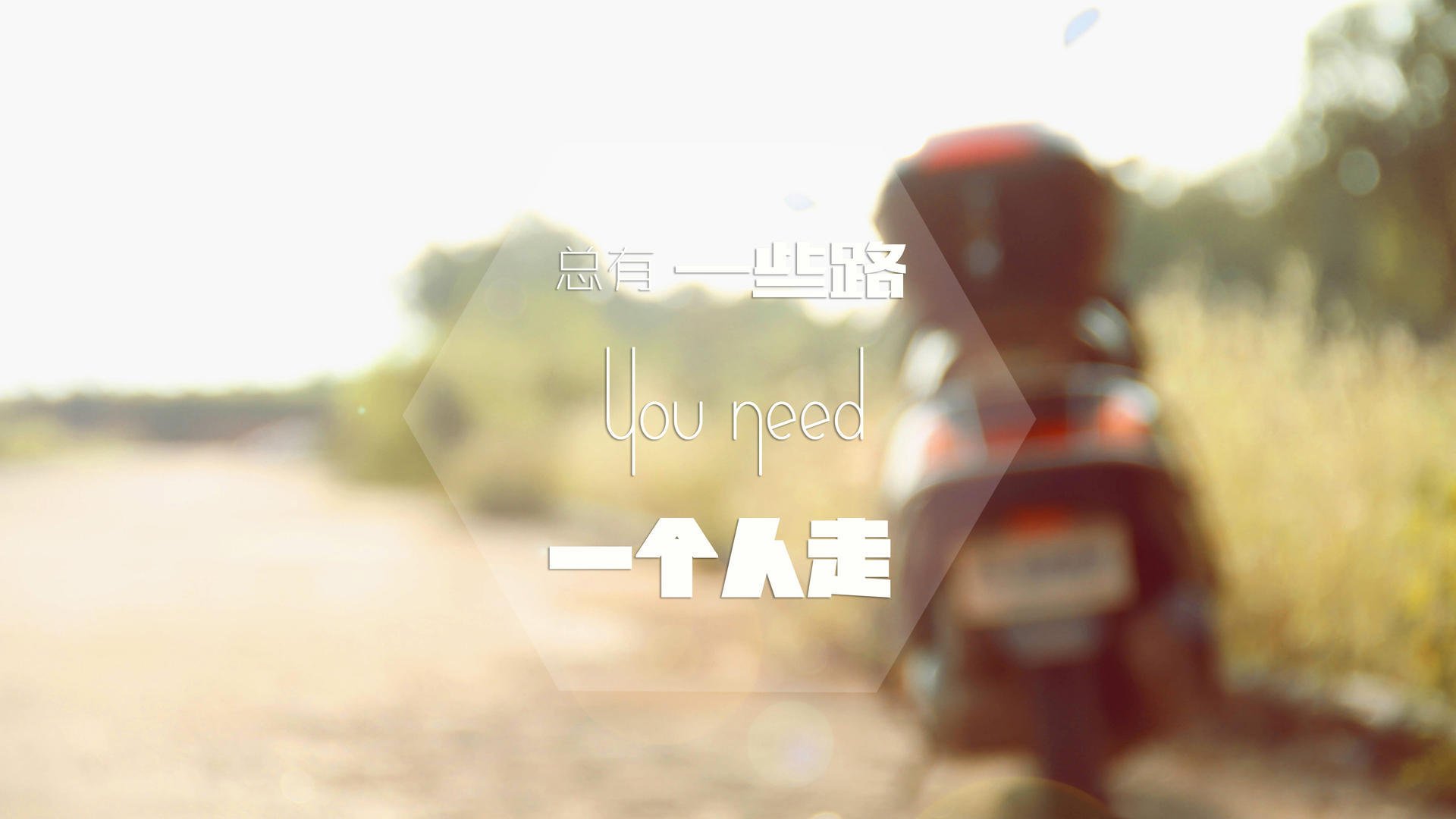 女子混合泳荷兰选手均衡发展,女子混合泳世界纪录