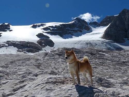 德甲攻守结合：节奏快、变化多！，德甲进攻型球队