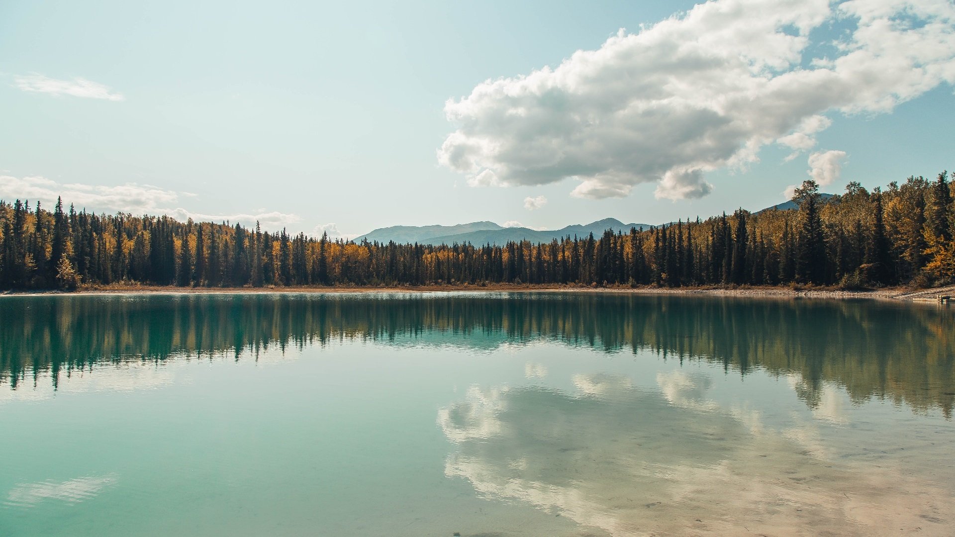 美国队赛后分享备赛心得，美国 比赛