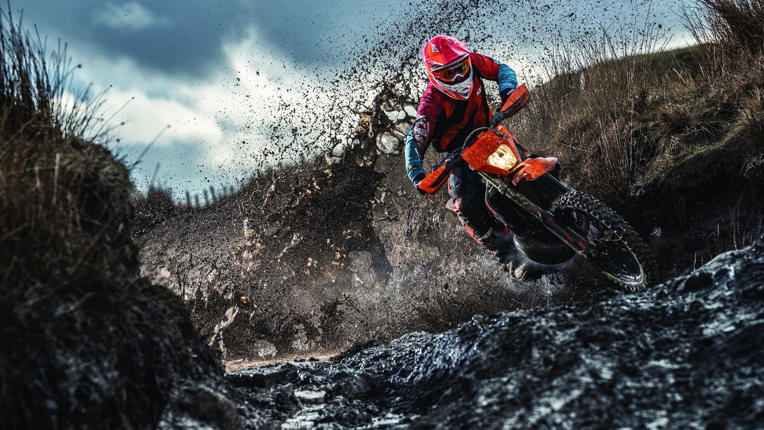 节能管理技术应用，节能管理是什么